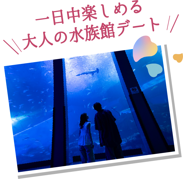 1日中楽しめる大人の水族館デート