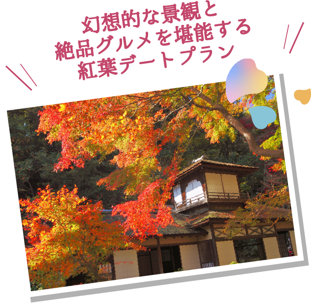 幻想的な景観と絶品グルメを堪能する紅葉デートプラン